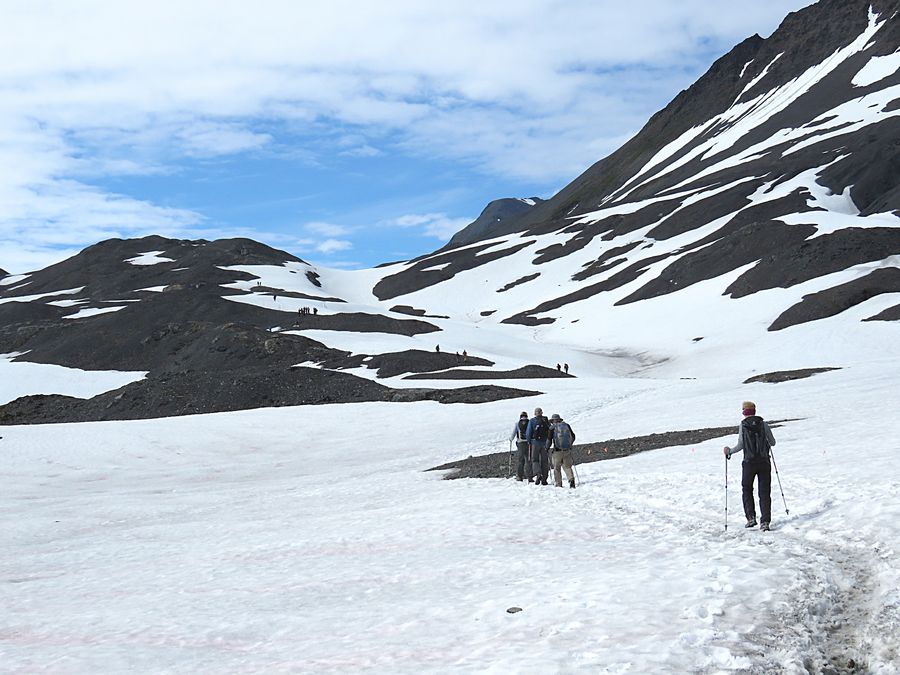 exit glacier trail